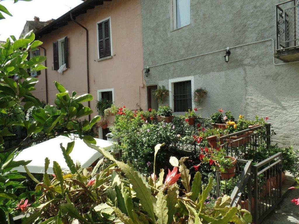 B&B Zia Lina Dongo Zewnętrze zdjęcie