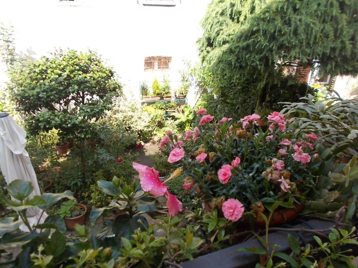 B&B Zia Lina Dongo Zewnętrze zdjęcie